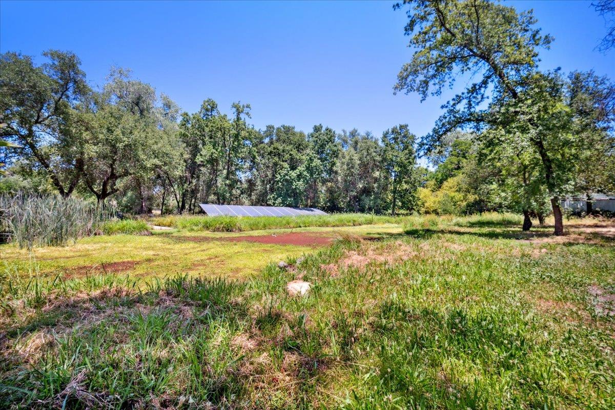Clayton Lane, Loomis, California image 21