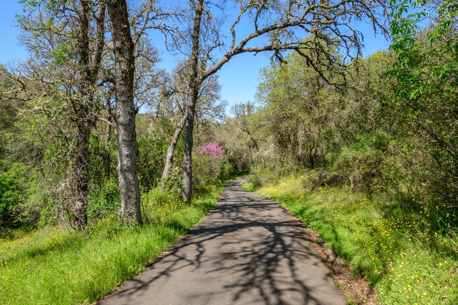 Jurgens Road, Rescue, California image 11