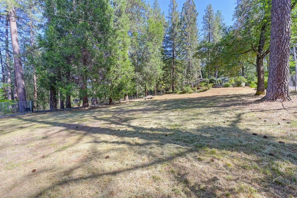 Meadow Vista Road, Meadow Vista, California image 6