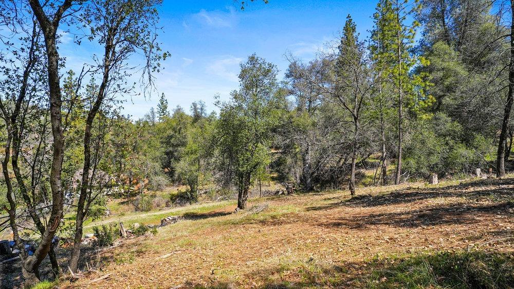 Tuolumne Road, Tuolumne, California image 16