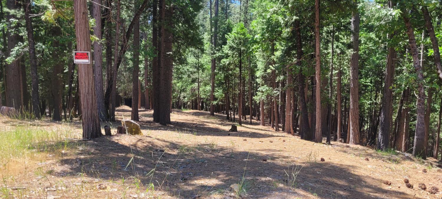 Sierra Springs Drive, Pollock Pines, California image 12