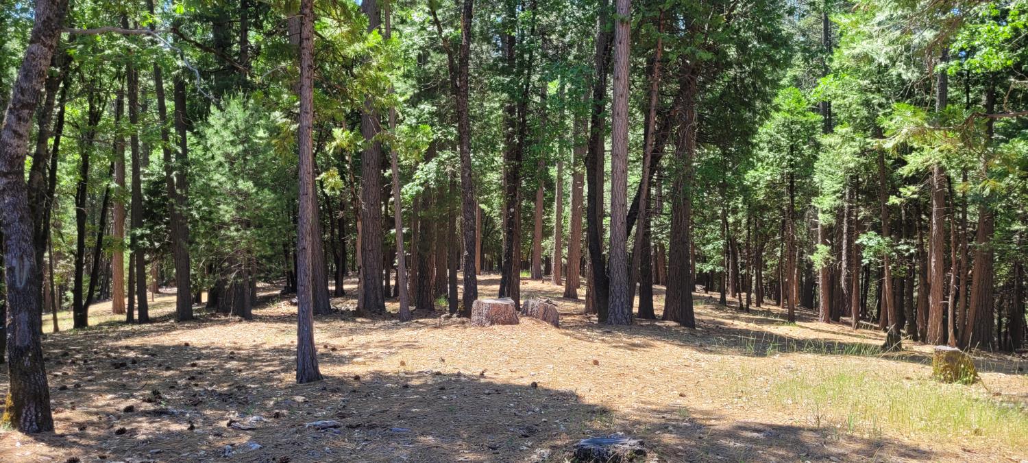 Sierra Springs Drive, Pollock Pines, California image 2