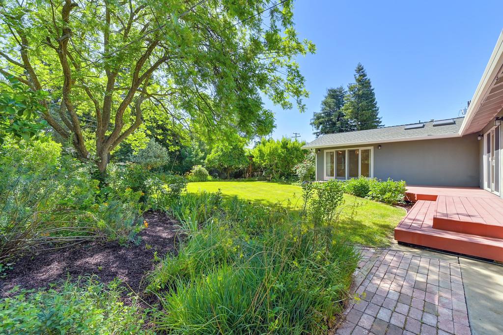 A Street, Davis, California image 41