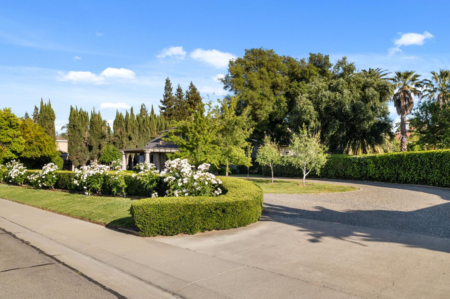 W Southwood Drive, Woodland, California image 10