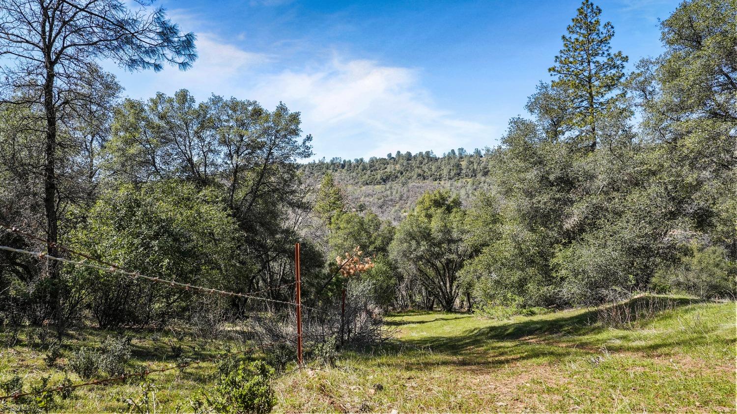 Tuolumne Road, Tuolumne, California image 12