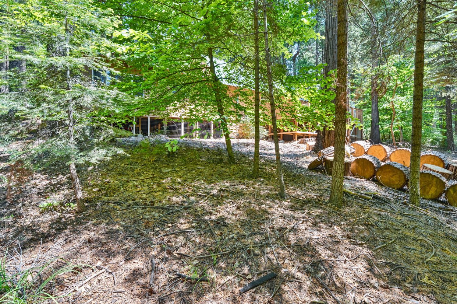 Sly Park Road, Pollock Pines, California image 38