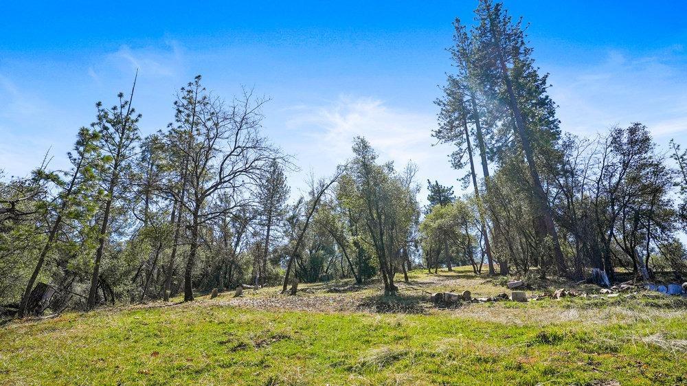 Tuolumne Road, Tuolumne, California image 14