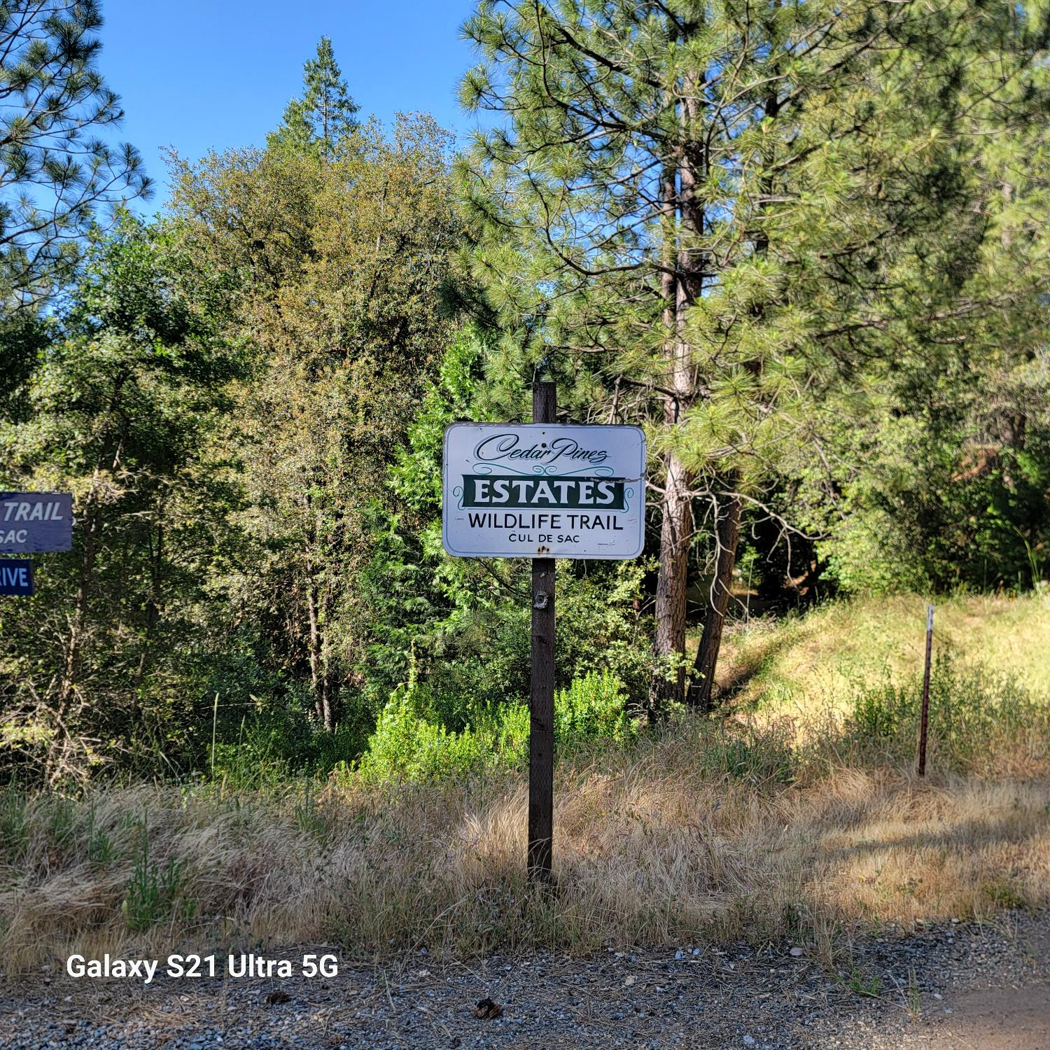 Wildlife Trail, Fiddletown, California image 14