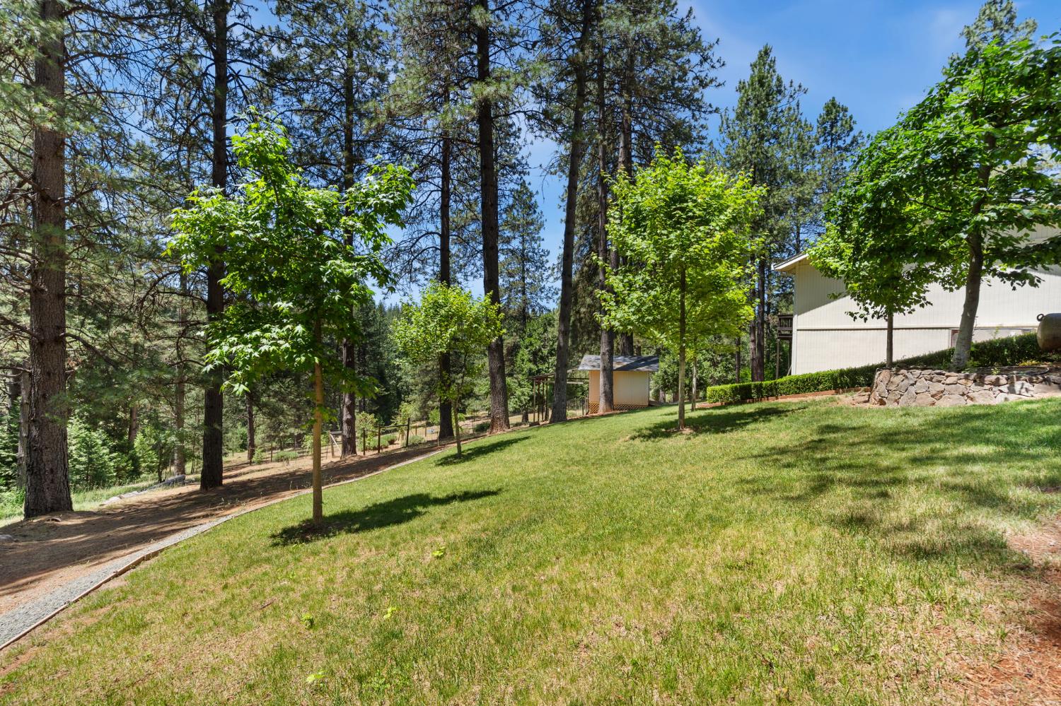Del Vista Court, Grass Valley, California image 31