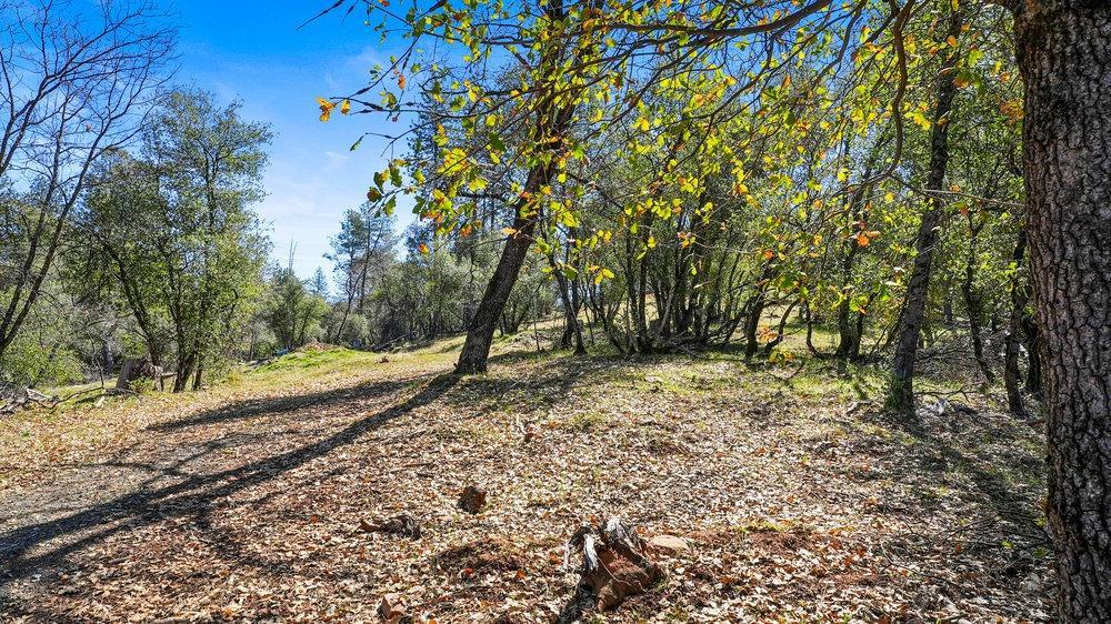 Tuolumne Road, Tuolumne, California image 10