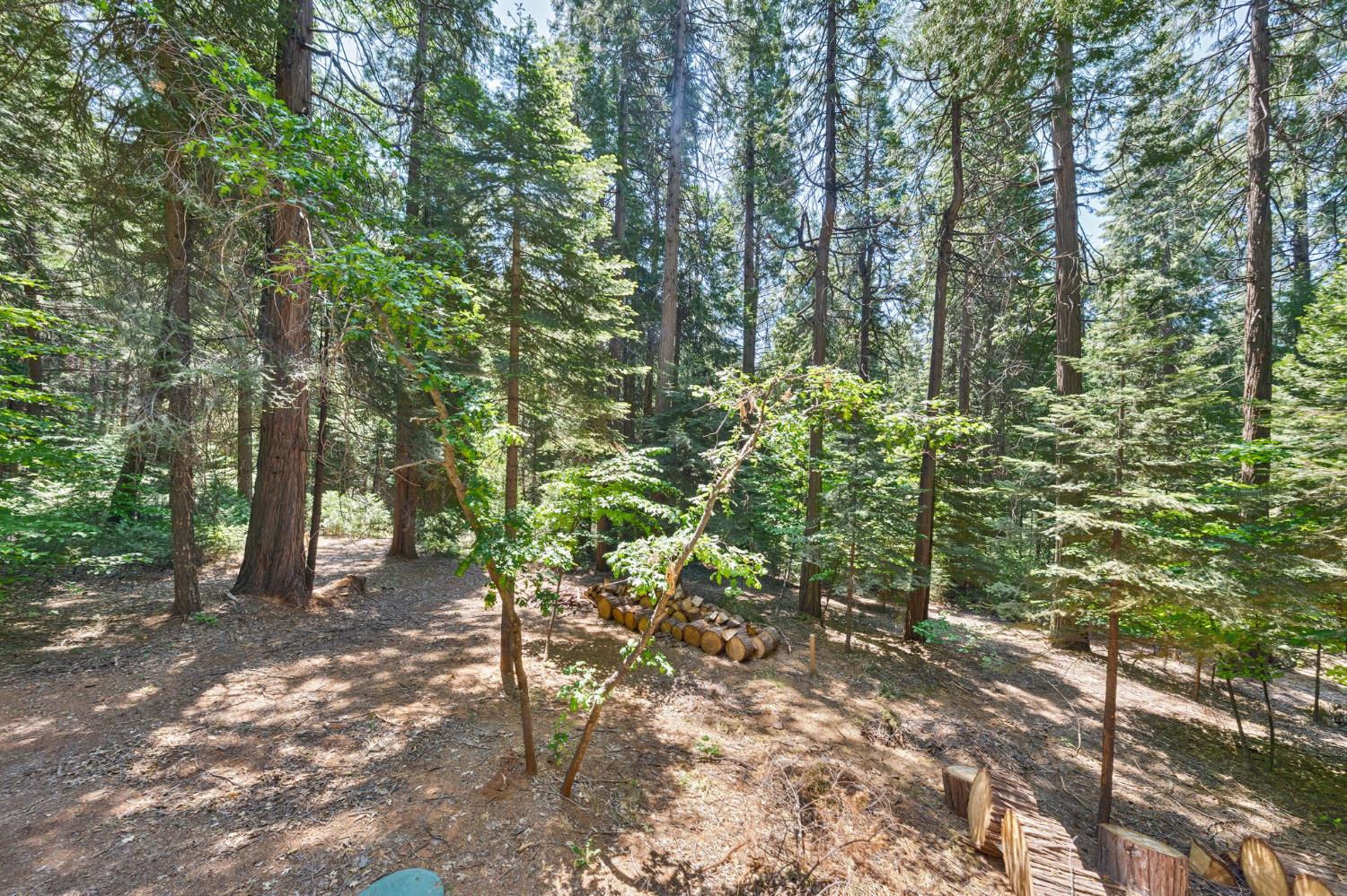 Sly Park Road, Pollock Pines, California image 33
