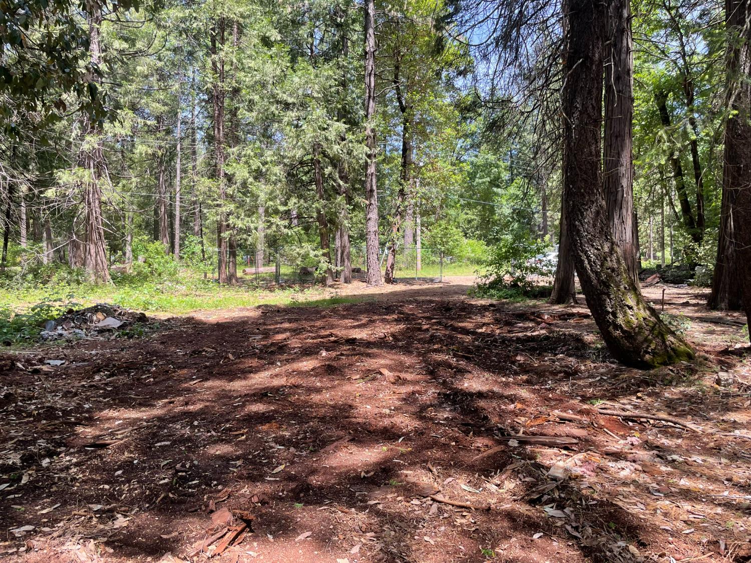 Buckeye Drive, Forbestown, California image 8