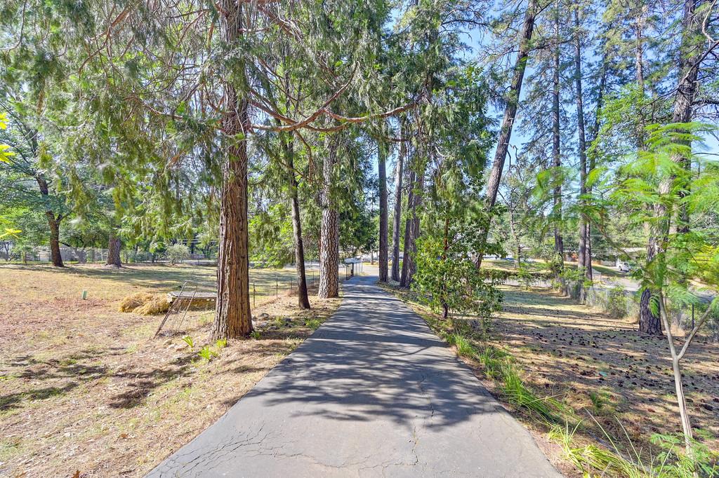 Meadow Vista Road, Meadow Vista, California image 3
