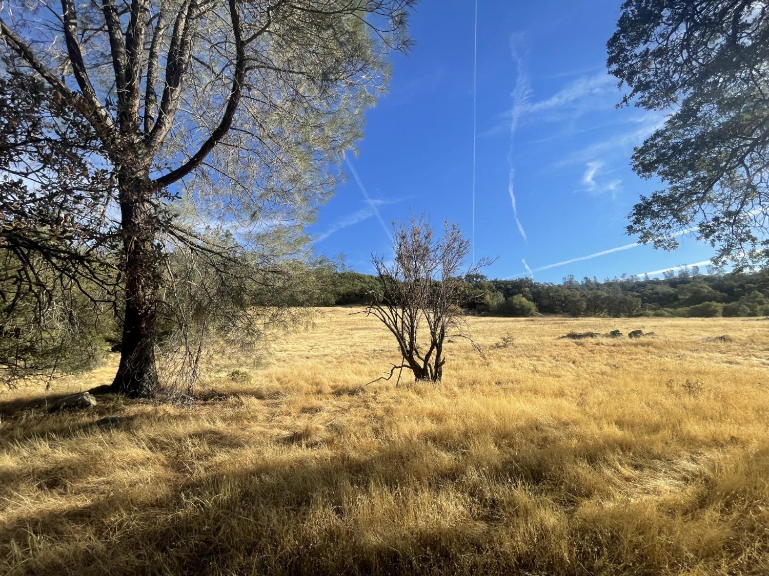 Pleasant Valley Road, North San Juan, California image 6
