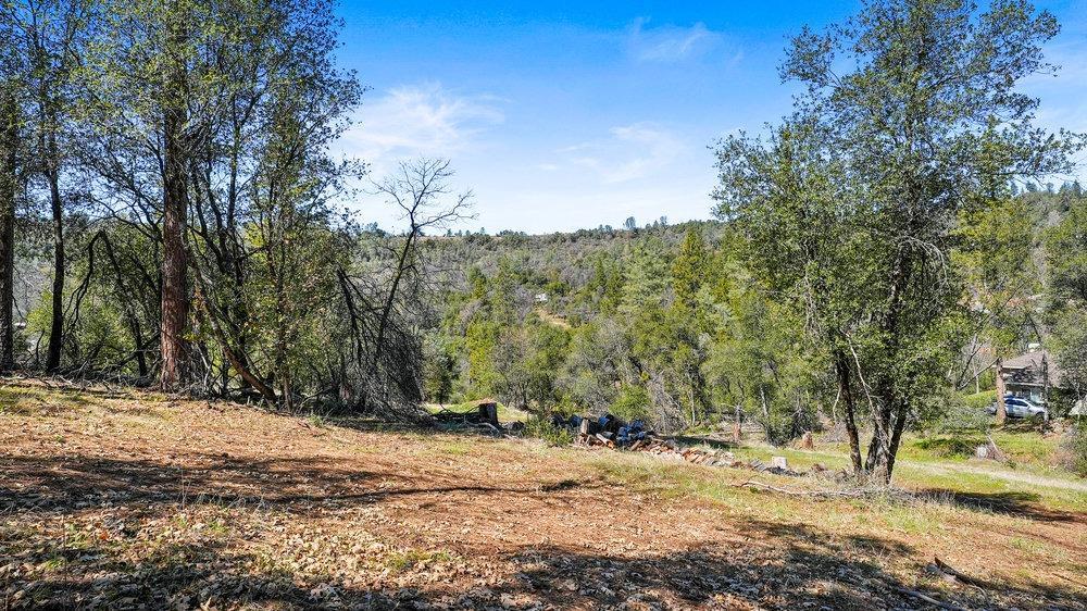 Tuolumne Road, Tuolumne, California image 15