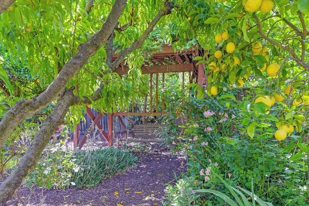 A Street, Davis, California image 48