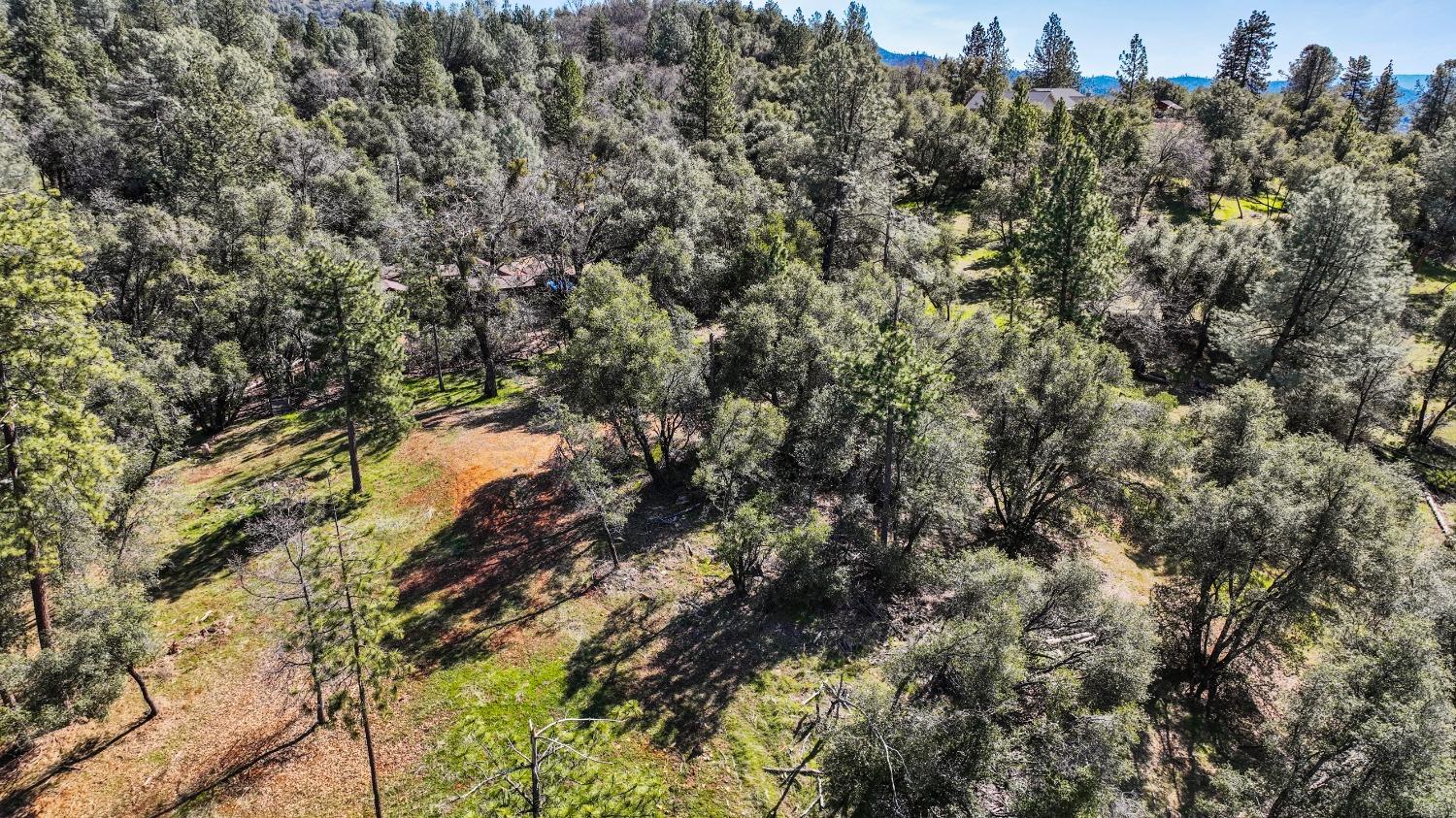 Tuolumne Road, Tuolumne, California image 21