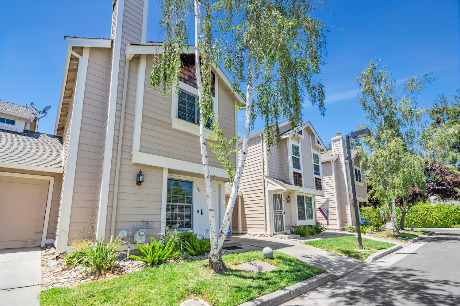 Macaw Way, San Jose, California image 25