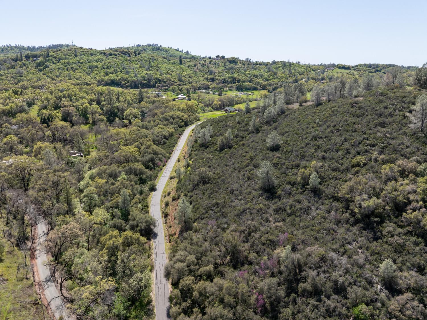 Jurgens Road, Rescue, California image 8