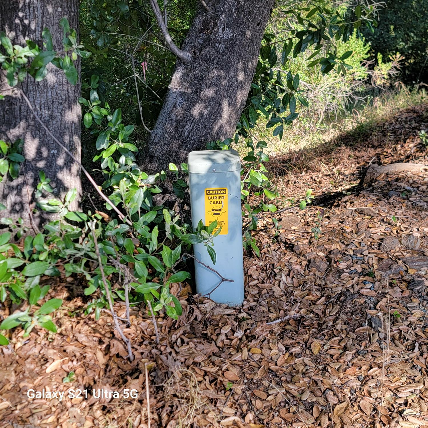 Wildlife Trail, Fiddletown, California image 6