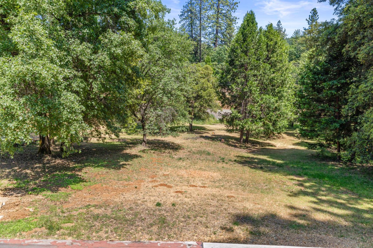 Snows Road, Placerville, California image 39