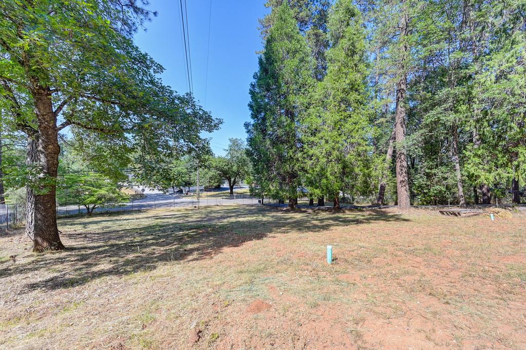 Meadow Vista Road, Meadow Vista, California image 7