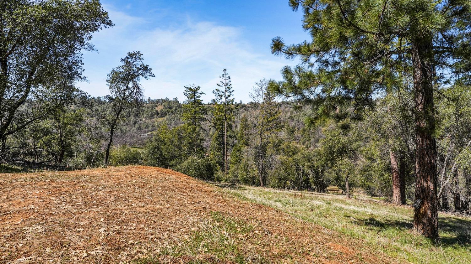 Tuolumne Road, Tuolumne, California image 18