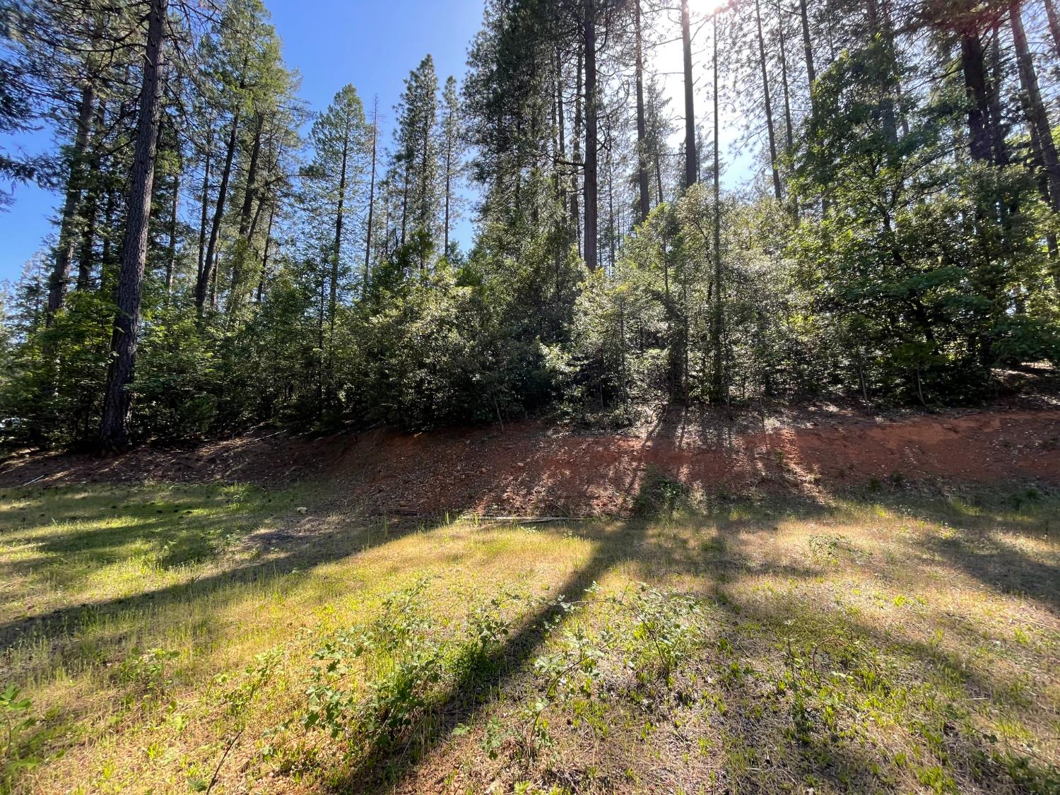 Hupp Coutolenc Rd, Magalia, California image 9
