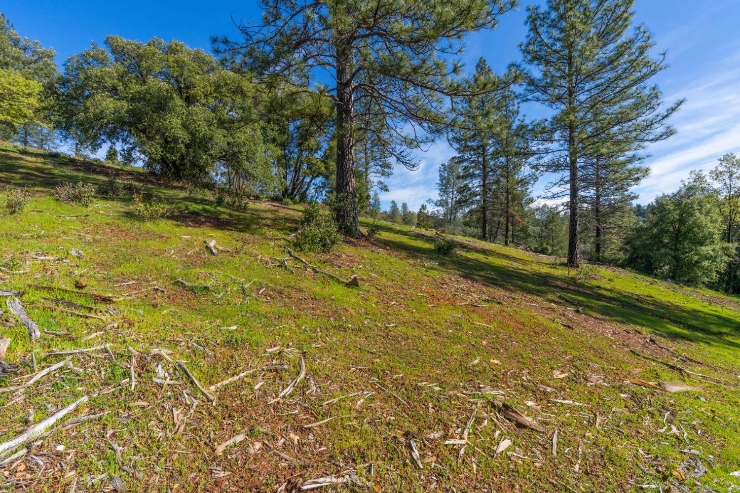 Petersen Ranch, Pine Grove, California image 17