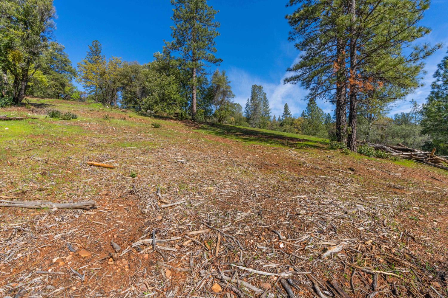 Petersen Ranch, Pine Grove, California image 18