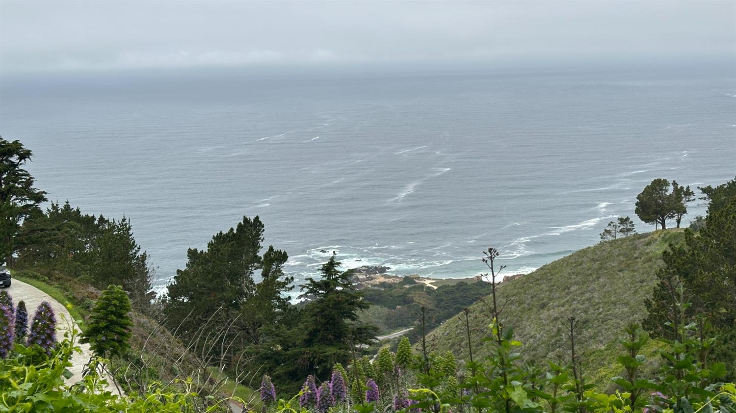 Weston Ridge Road, Carmel, California image 28
