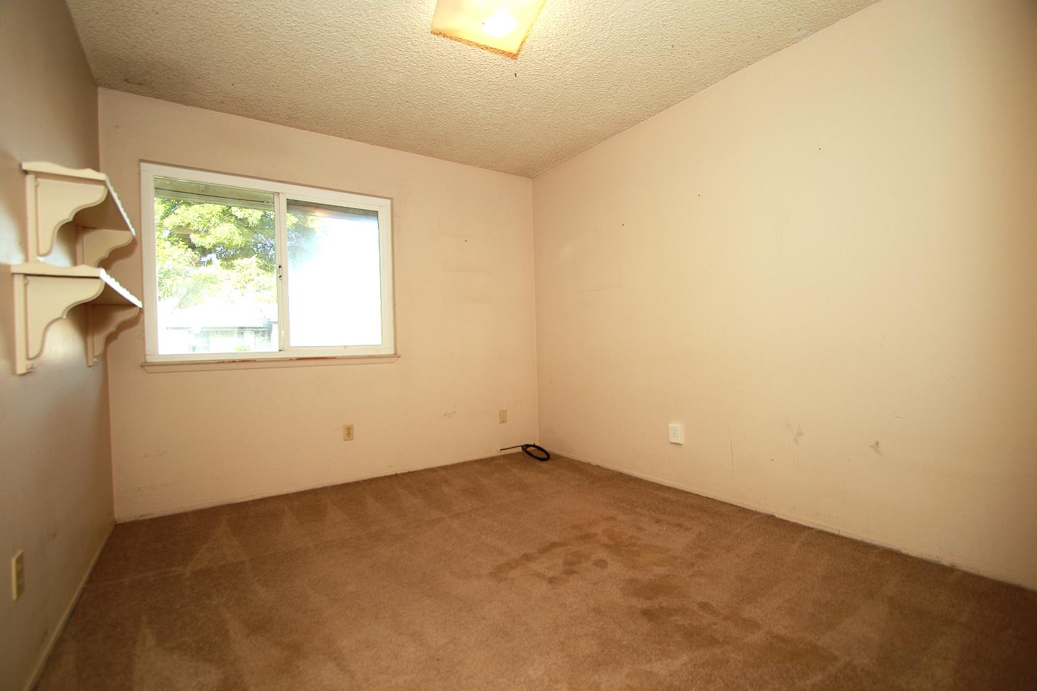 Blue Daisy Way, Modesto, California image 11