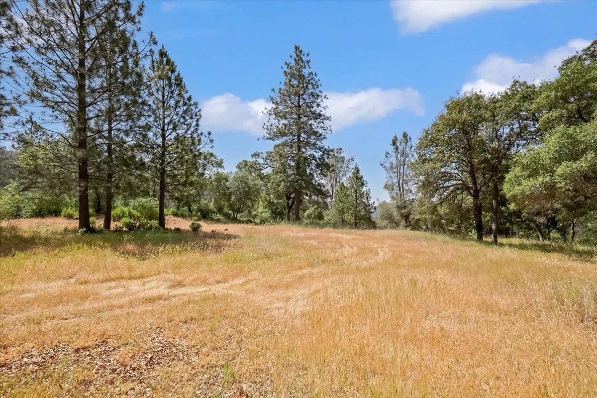 Detail Gallery Image 46 of 80 For 14818 Willow Glen Rd, Brownsville,  CA 95919 - – Beds | – Baths