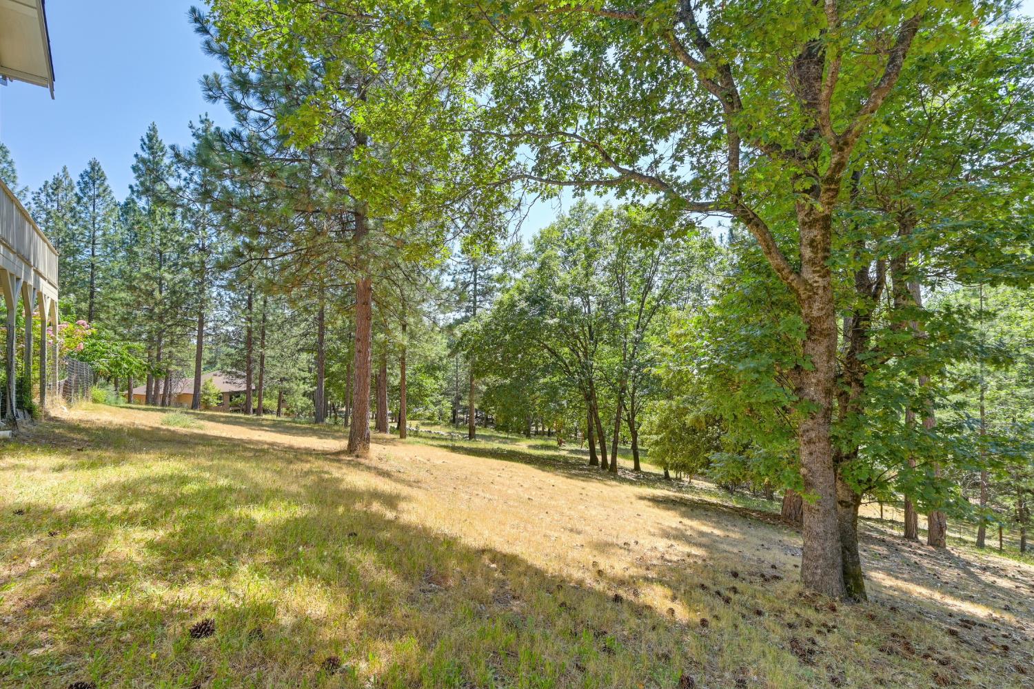 Alton Trail, Foresthill, California image 37