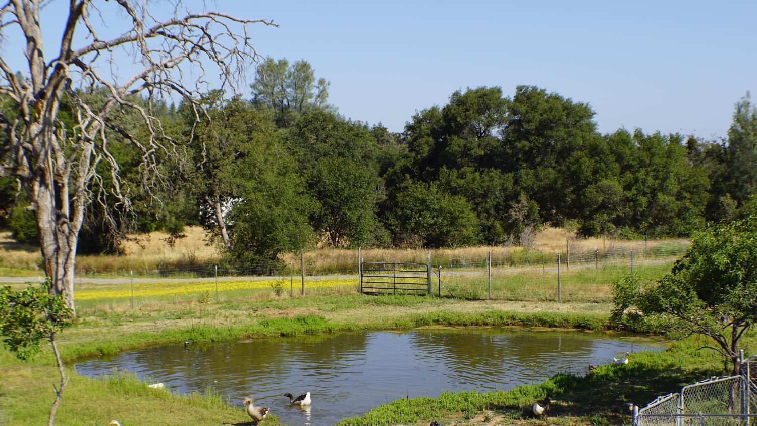 Scott Grant Road, Marysville, California image 6
