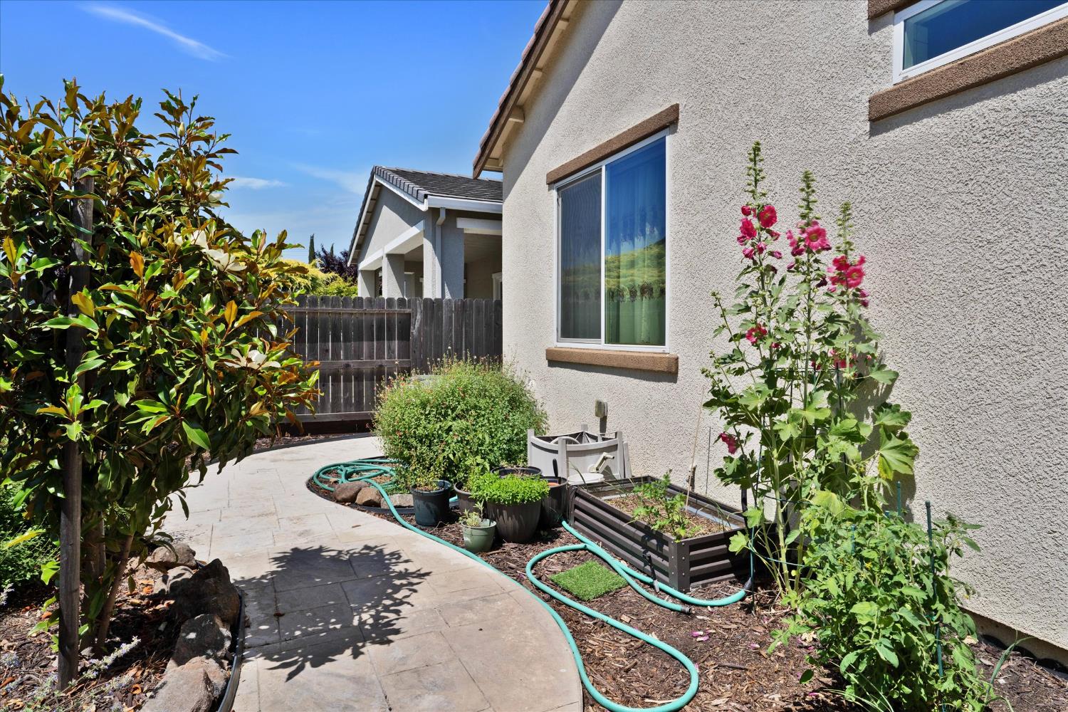 Ligurian Sea Lane, Sacramento, California image 22
