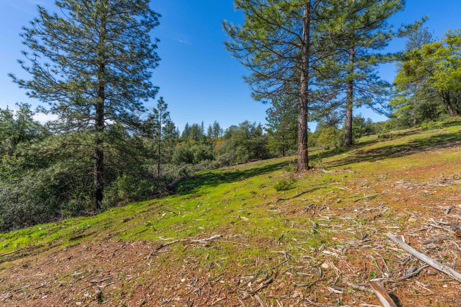 Petersen Ranch, Pine Grove, California image 19
