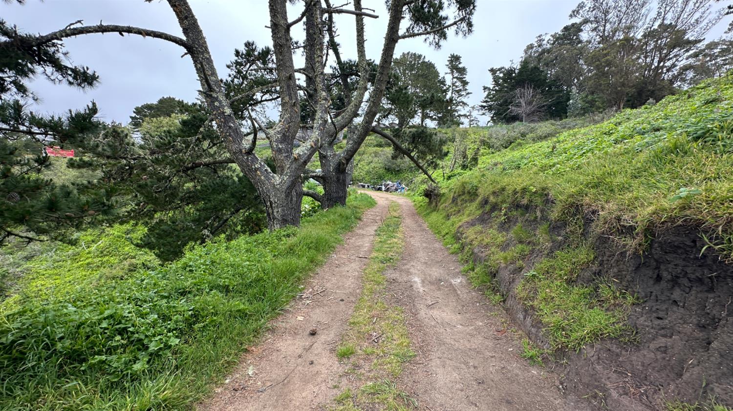 Weston Ridge Road, Carmel, California image 27