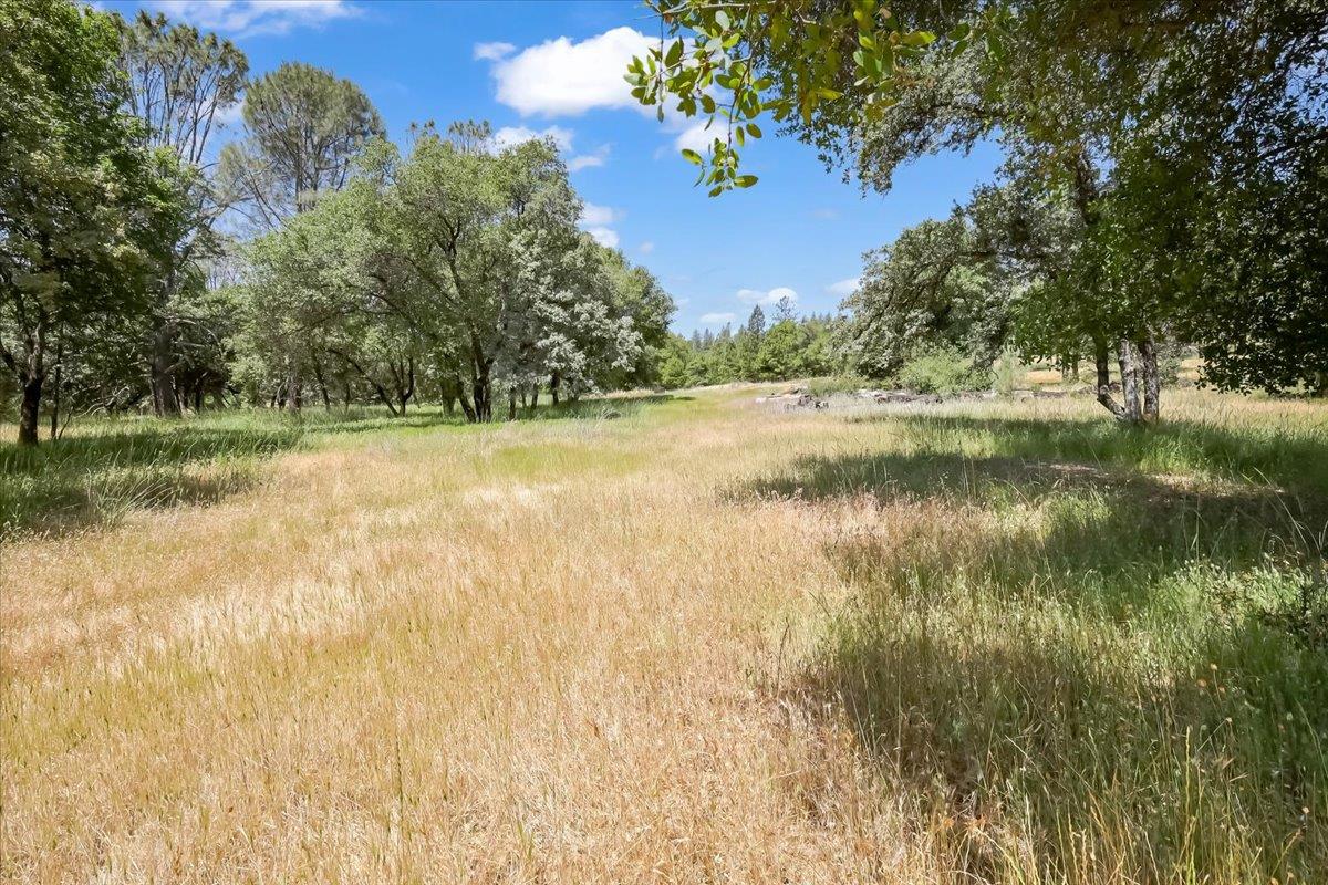 Detail Gallery Image 43 of 80 For 14818 Willow Glen Rd, Brownsville,  CA 95919 - – Beds | – Baths