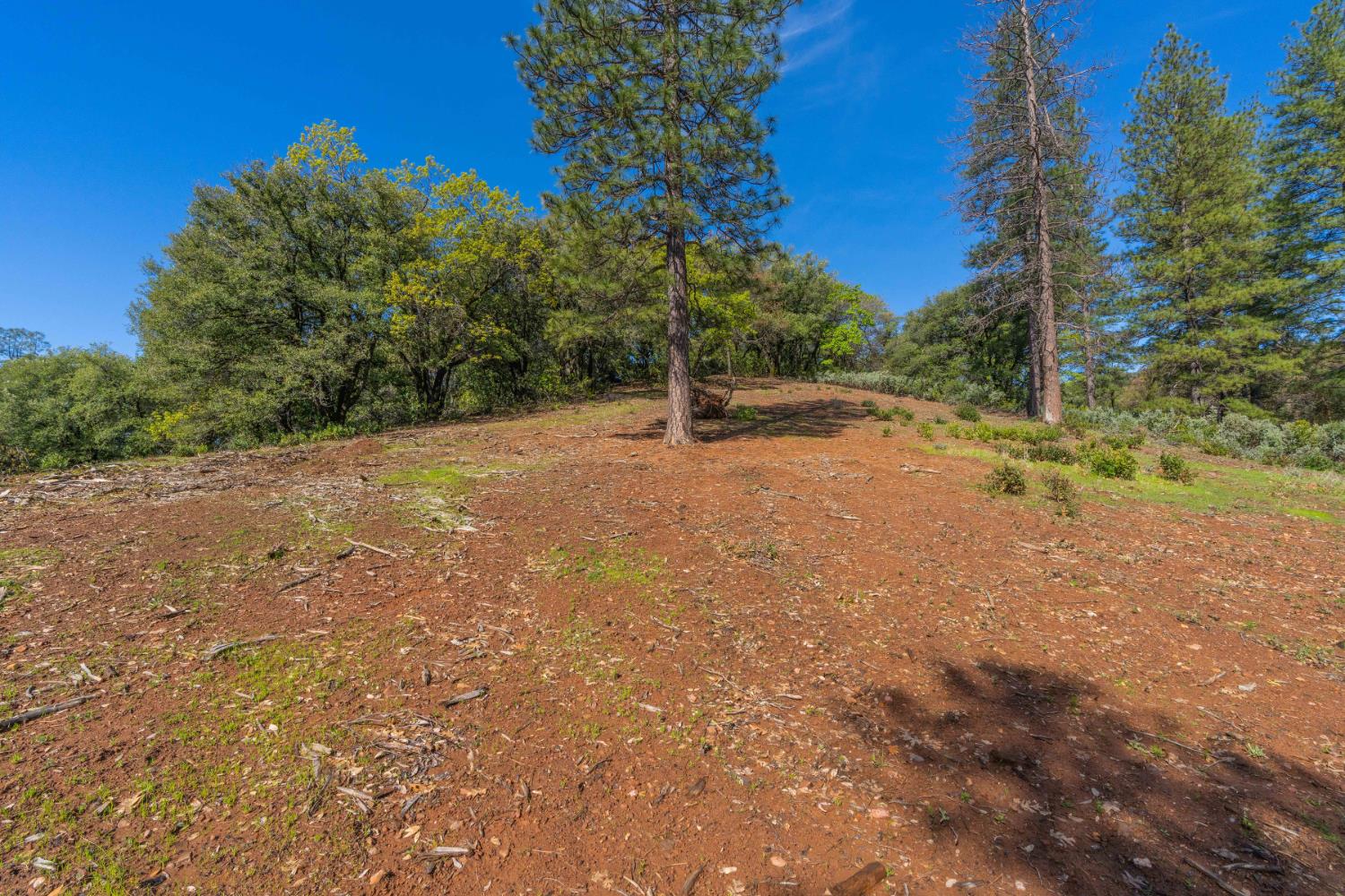 Petersen Ranch, Pine Grove, California image 7
