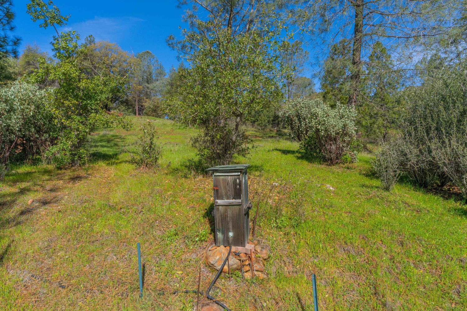 Petersen Ranch, Pine Grove, California image 20