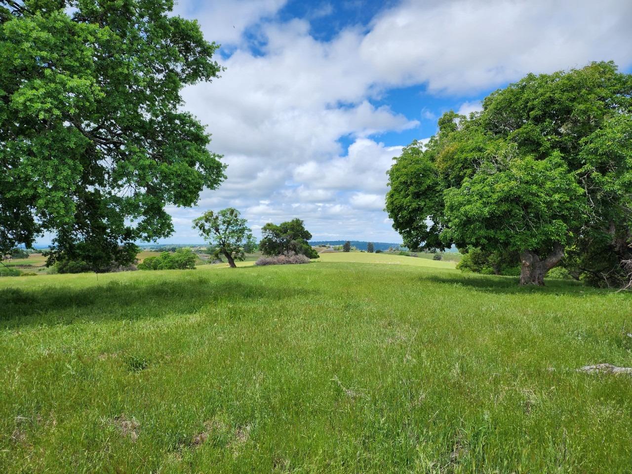 E Shenandoah Road, Plymouth, California image 17