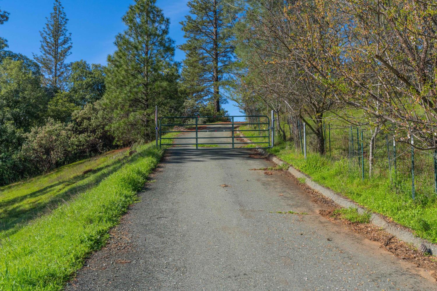 Petersen Ranch, Pine Grove, California image 34