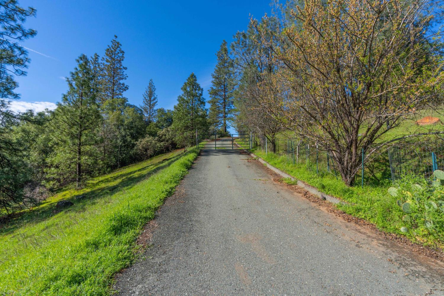 Petersen Ranch, Pine Grove, California image 35