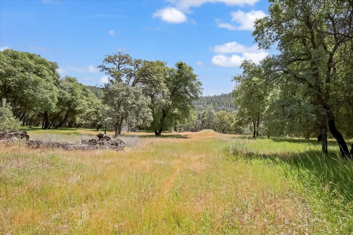 Detail Gallery Image 16 of 80 For 14818 Willow Glen Rd, Brownsville,  CA 95919 - – Beds | – Baths