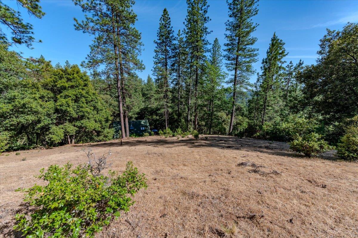 Georgia Way, Grass Valley, California image 34