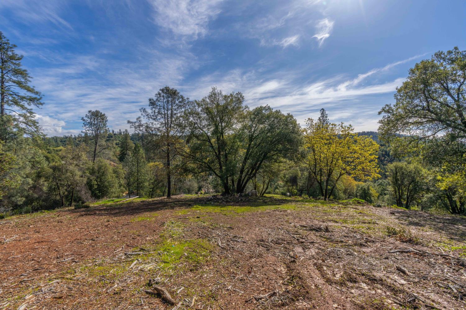 Petersen Ranch, Pine Grove, California image 8