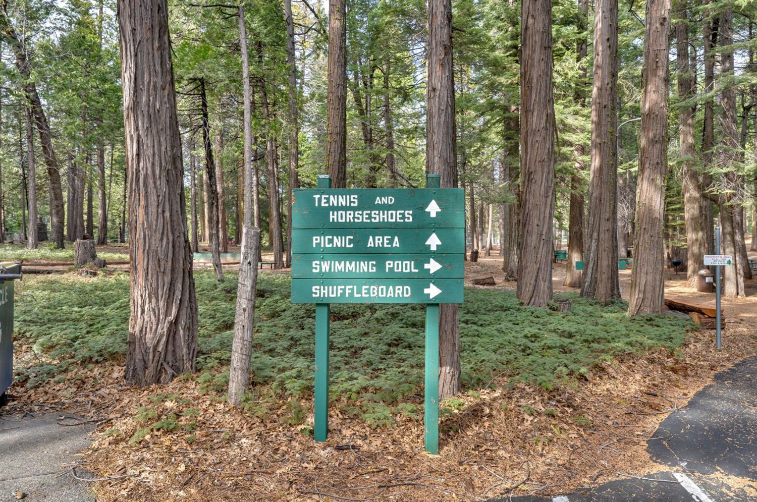 Onyx Trail, Pollock Pines, California image 41