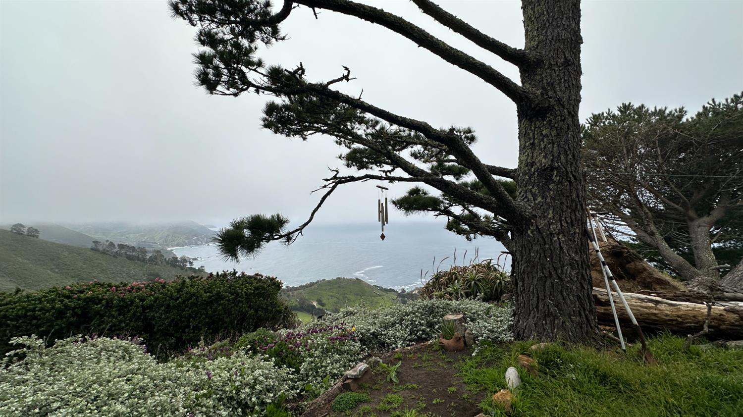 Weston Ridge Road, Carmel, California image 18