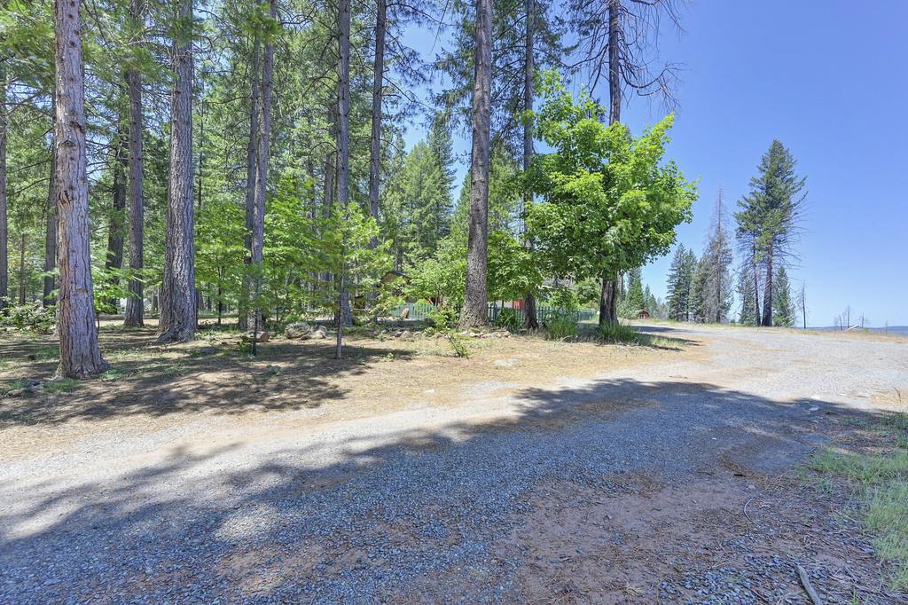 Volcanoville Road, Georgetown, California image 6